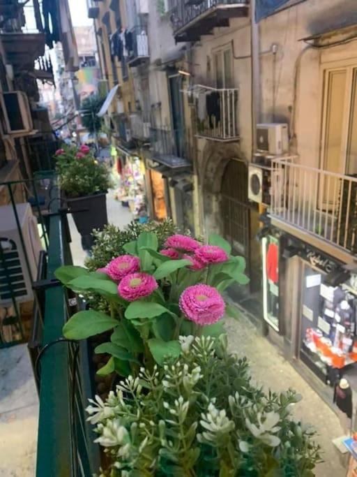 La Casa Di Patta A Spaccanapoli Екстер'єр фото